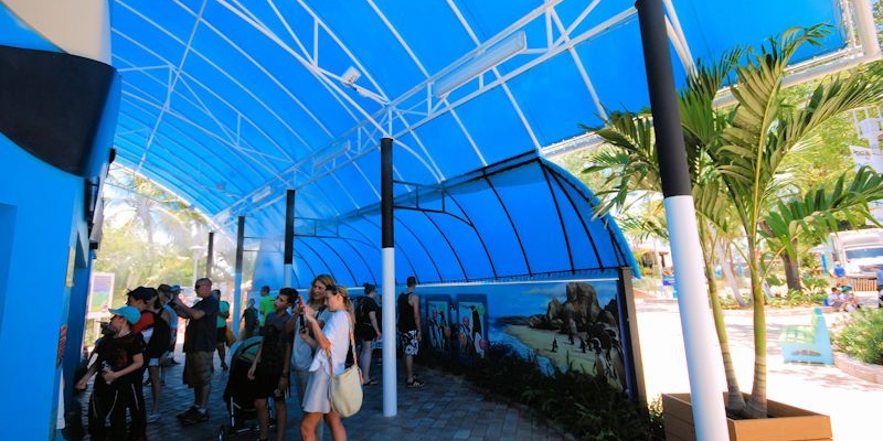 miami-seaquarium-penguin-isle-canopy